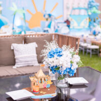 Kids Birthday Celebration In Chic Aura Zen Gardens