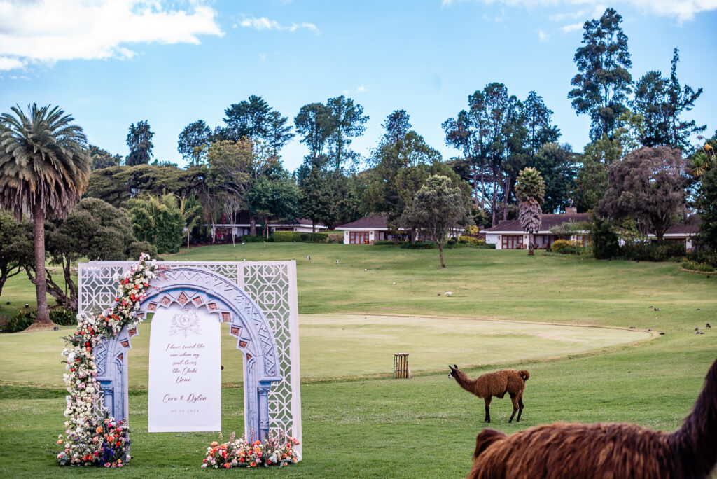 best wedding planner Nairobi