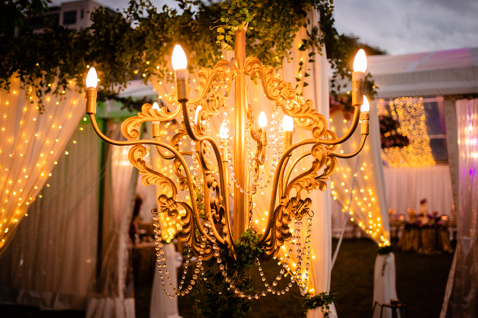 ChicAura - Shalini + Saahil Decor
